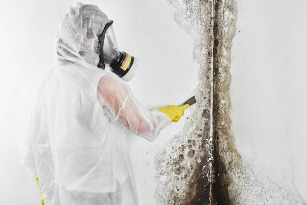 Best Crawl Space Mold Removal  in Oakland, NJ
