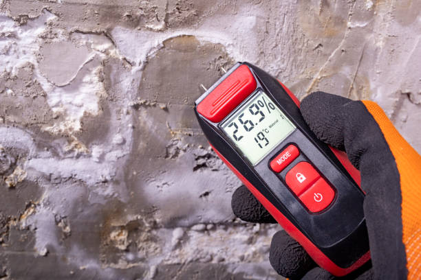 Best Mold Testing  in Oakland, NJ